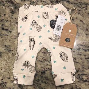 Finn & Emma organic baby boys sloth pants